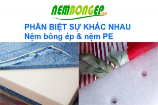 Phân biệt sự khác nhau giữa nệm bông ép và PE