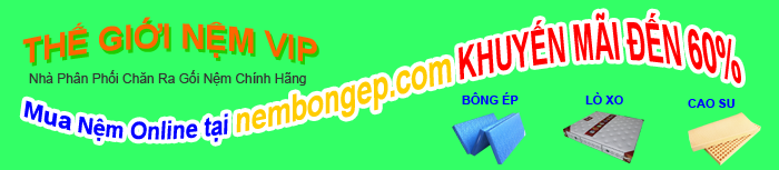 mua-nem-online-khuyen-mai-den-60-tai-nem-bong-ep-com