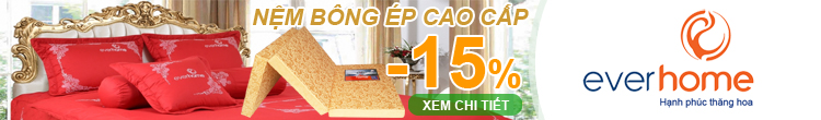 Nệm bông ép Everhome khuyến mãi